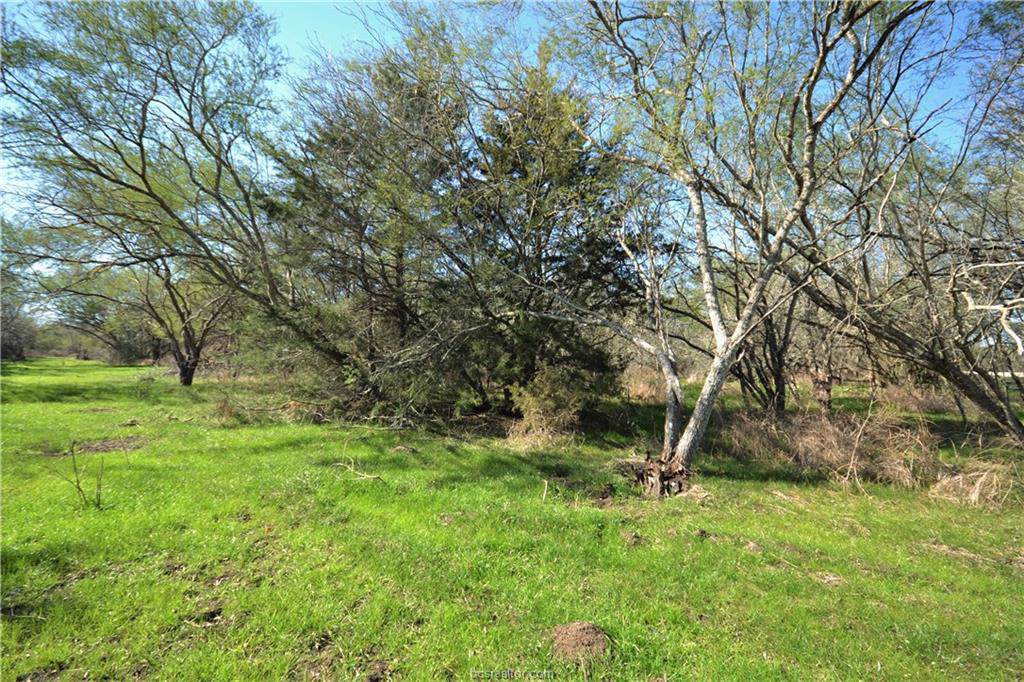 13083 Osr Road - Photo 1