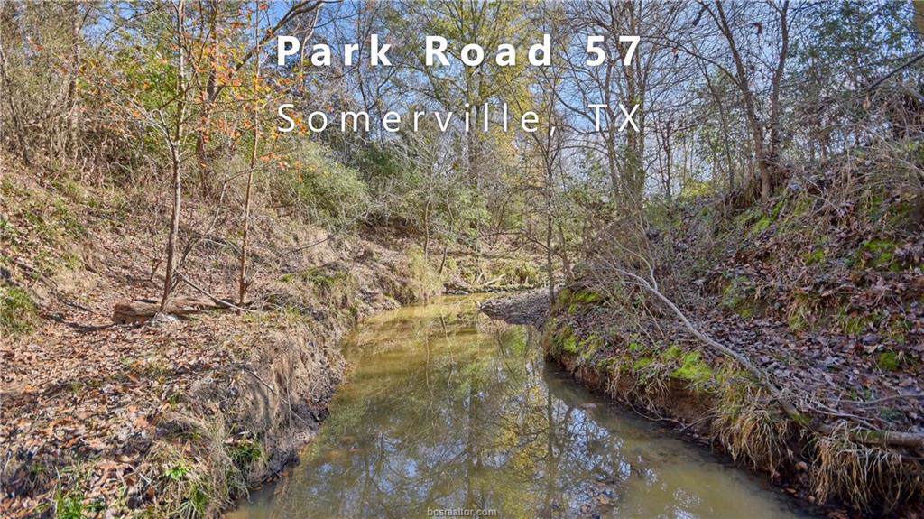 TBD (61.4 Acres) Park Road 57 - Photo 1