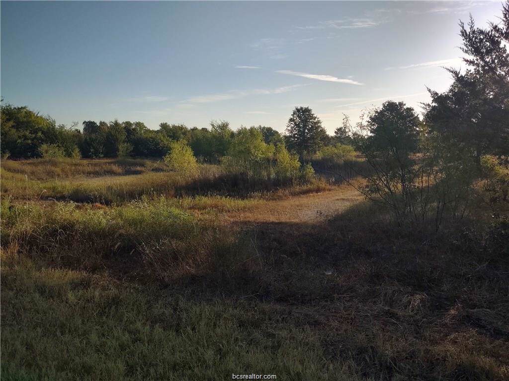 26124 County Road 131 - Photo 1