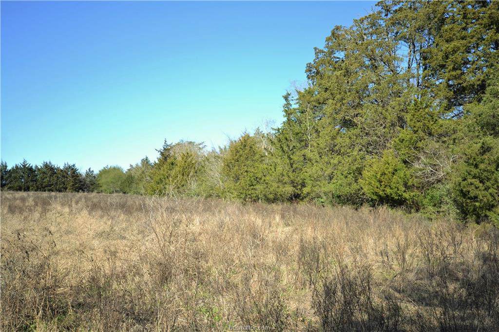13083 Osr Road - Photo 1