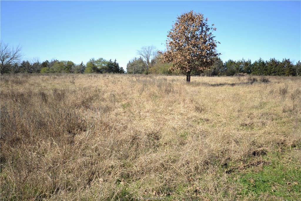 13083 Osr Road - Photo 1