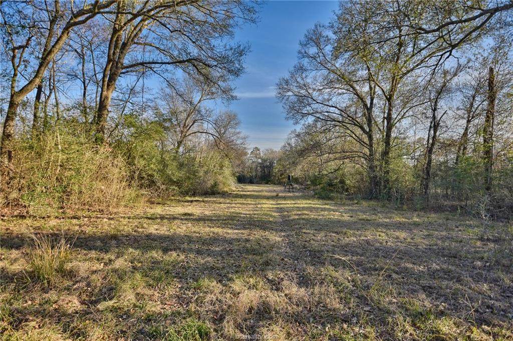00 County Road 406 County Road - Photo 1
