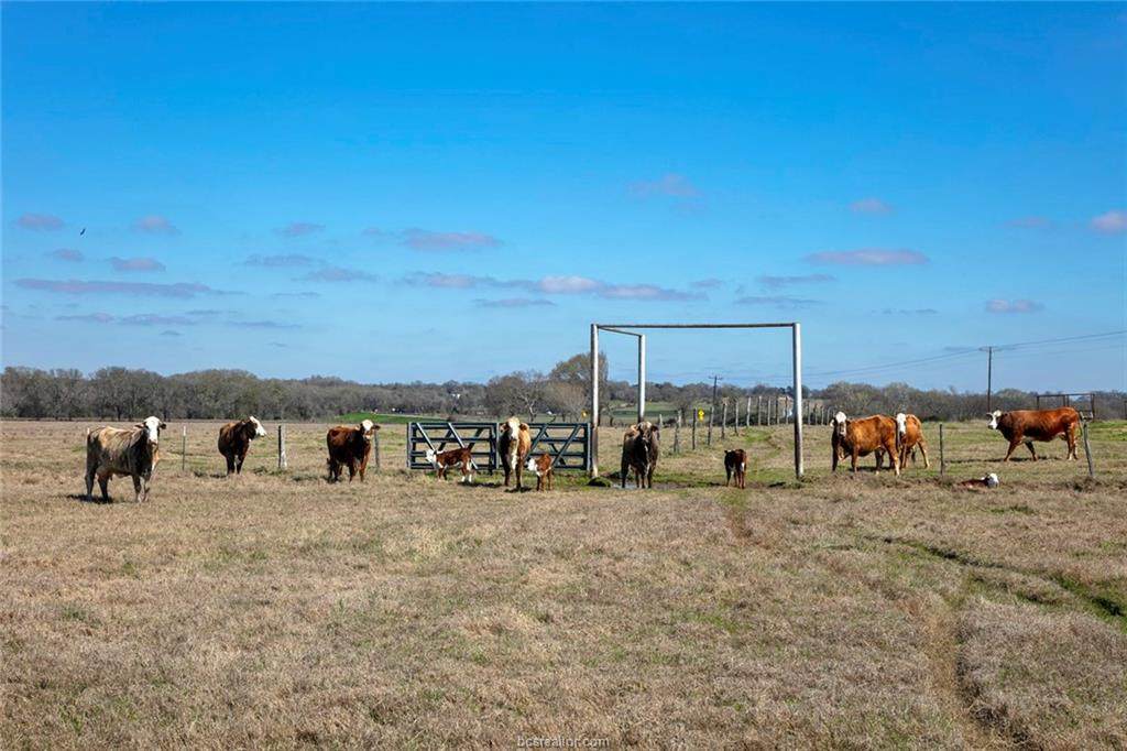 TBD County Road 205 - Photo 1