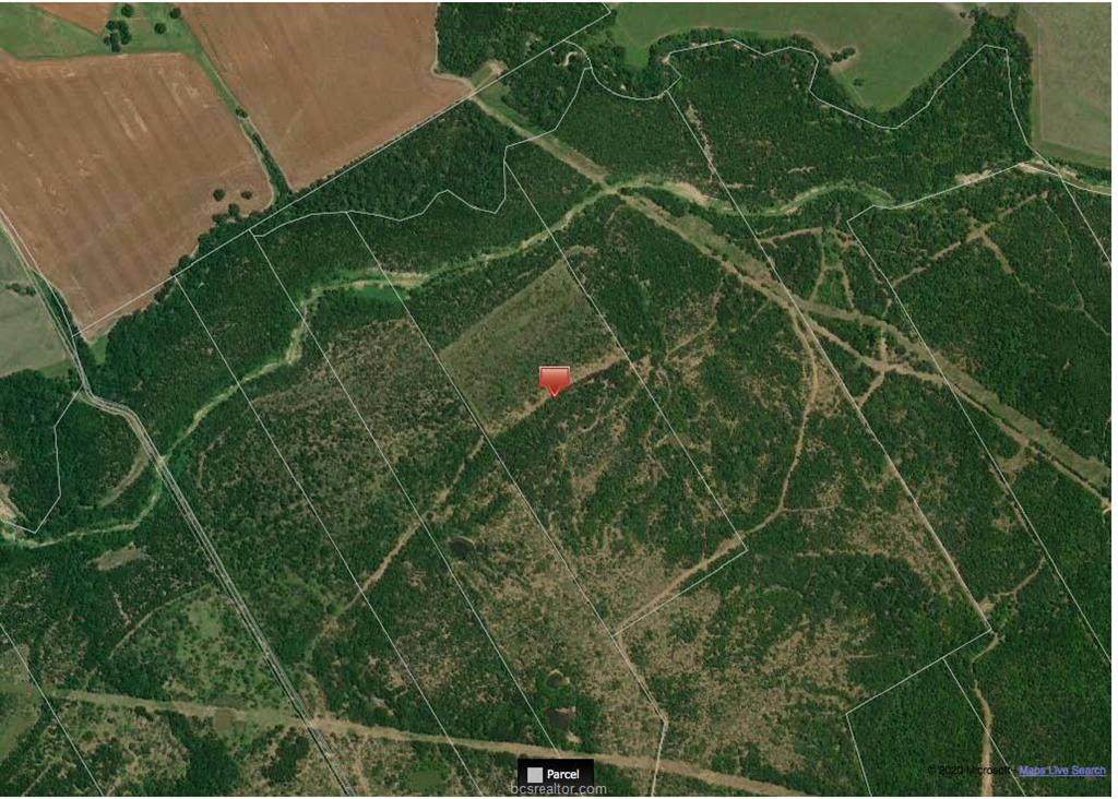 0000 100 Acres - Photo 1