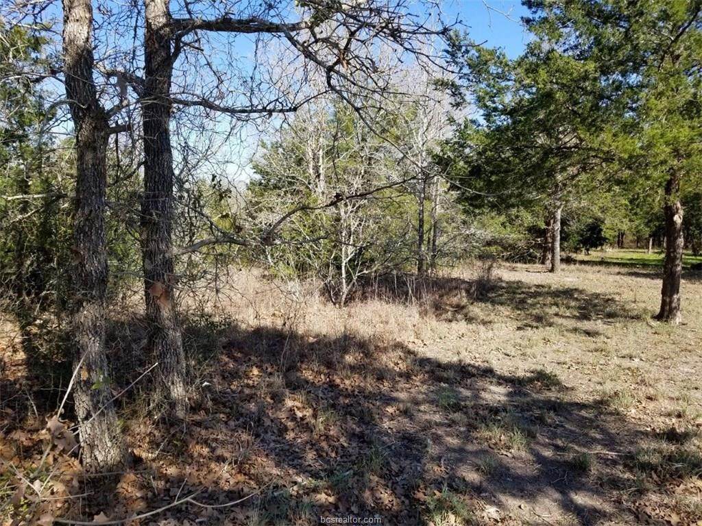 Tract 5, 6, 7 County Road 471 - Photo 1