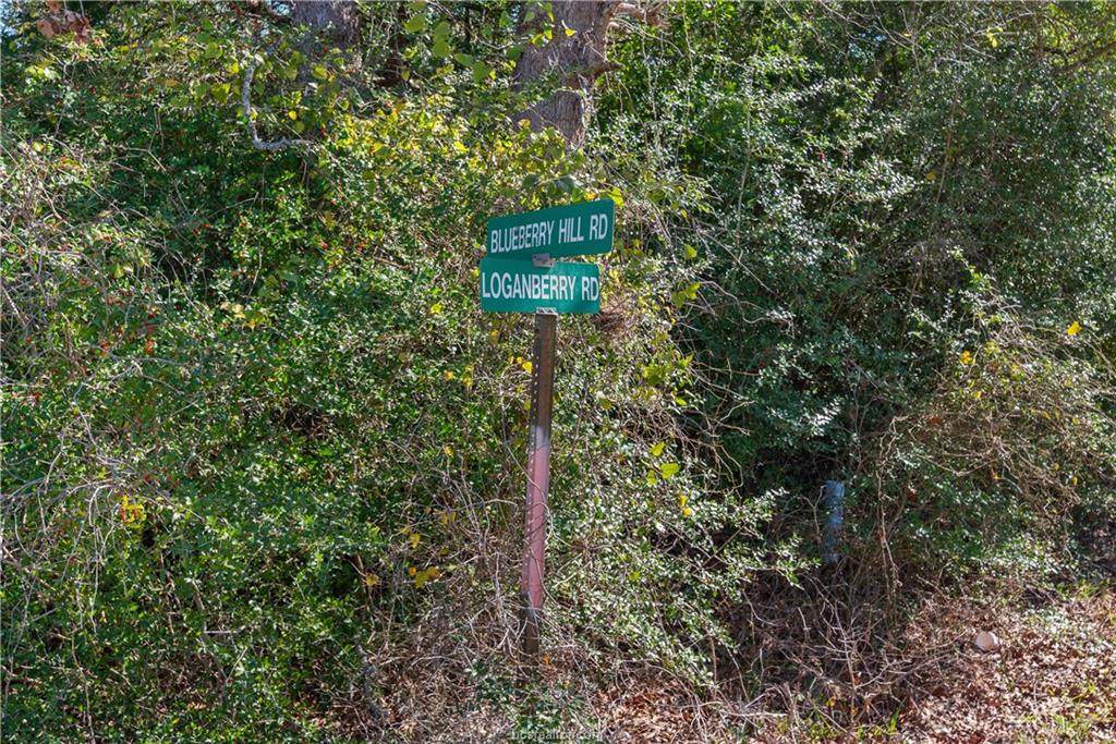 370 Blueberry Hill Road - Photo 1