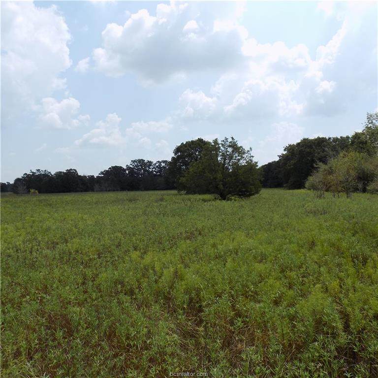 TBD River Oaks Drive - Photo 1