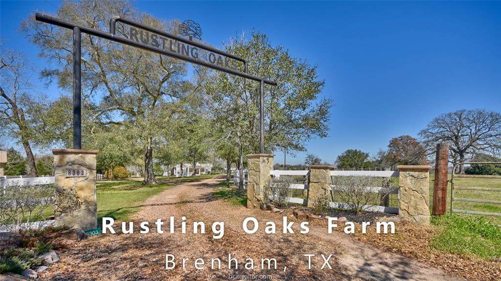 8303 Parkisons Lane - Photo 1