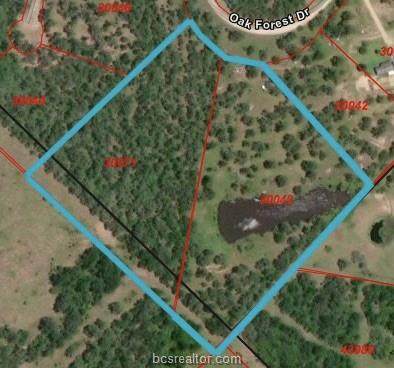 TBD Oak Forest Dr - Photo 1