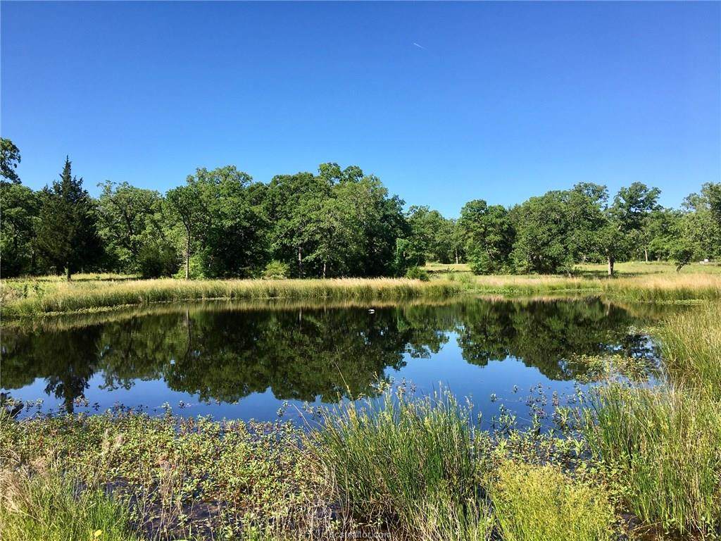 10217 Albert Dr. - Photo 1