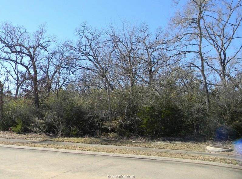 0005 TBD Chinquapin Court - Photo 1
