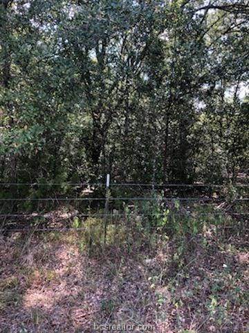 000 Highway 36 Highway - Photo 1