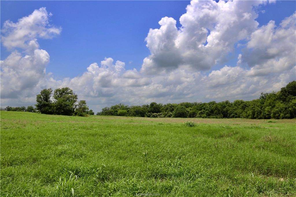 Lot 12 Reagans Way - Photo 1 Lot 12 Reagans Way - Photo 1