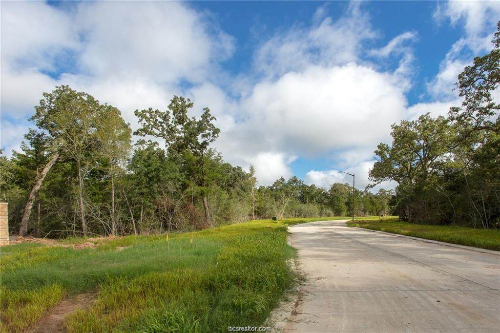 1803 Duval River Court - Photo 1