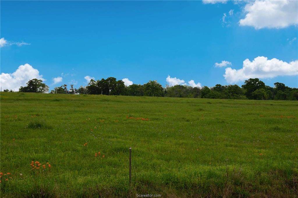 5042 Horseshoe Dr. - Photo 1