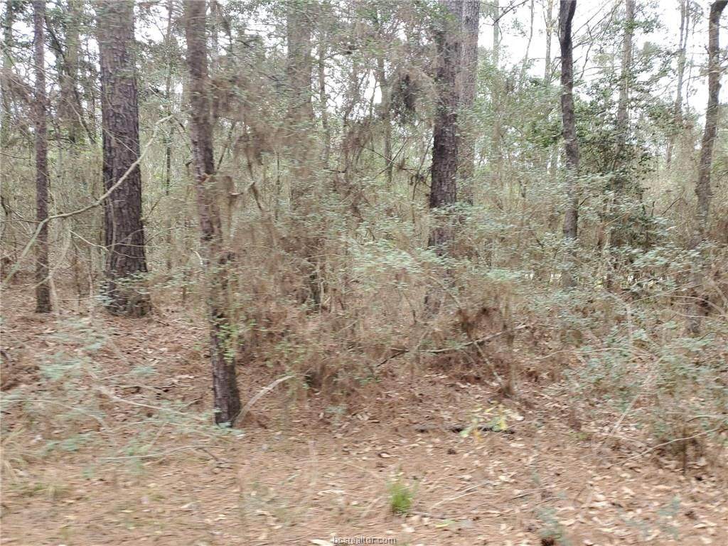78 Indian Trail Drive - Photo 1