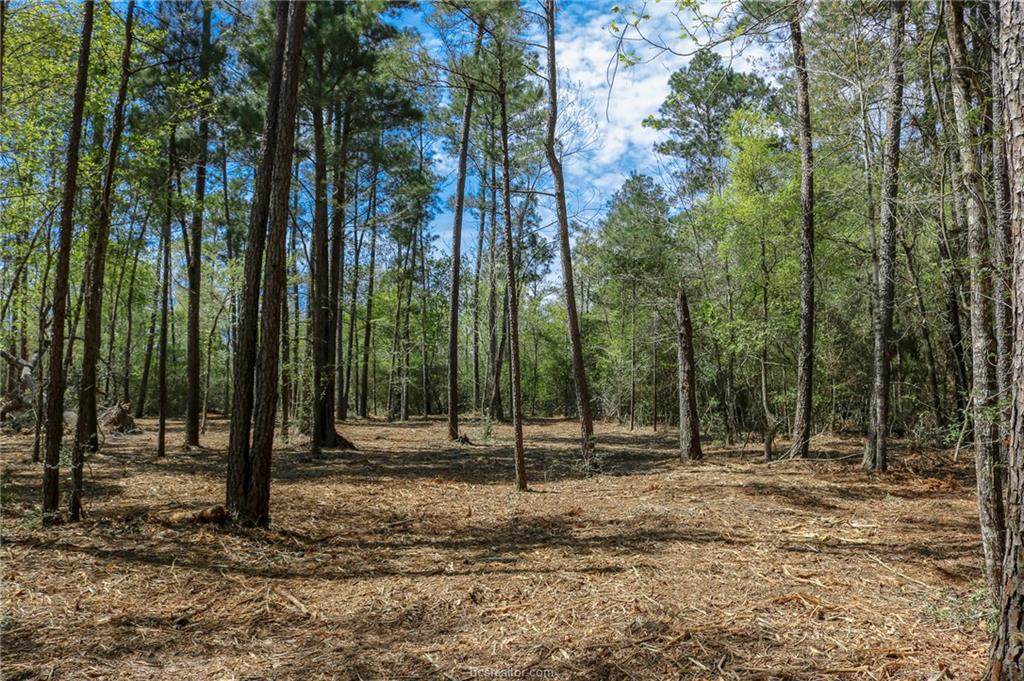 5+/- acres County Rd 207A - Photo 1 5+/- acres County Rd 207A - Photo 1