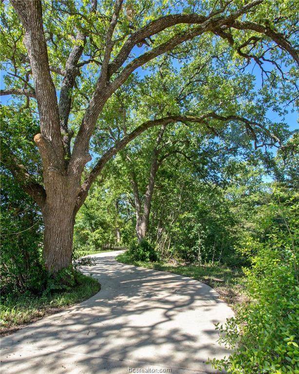 1759 Blanco Bend Drive - Photo 1