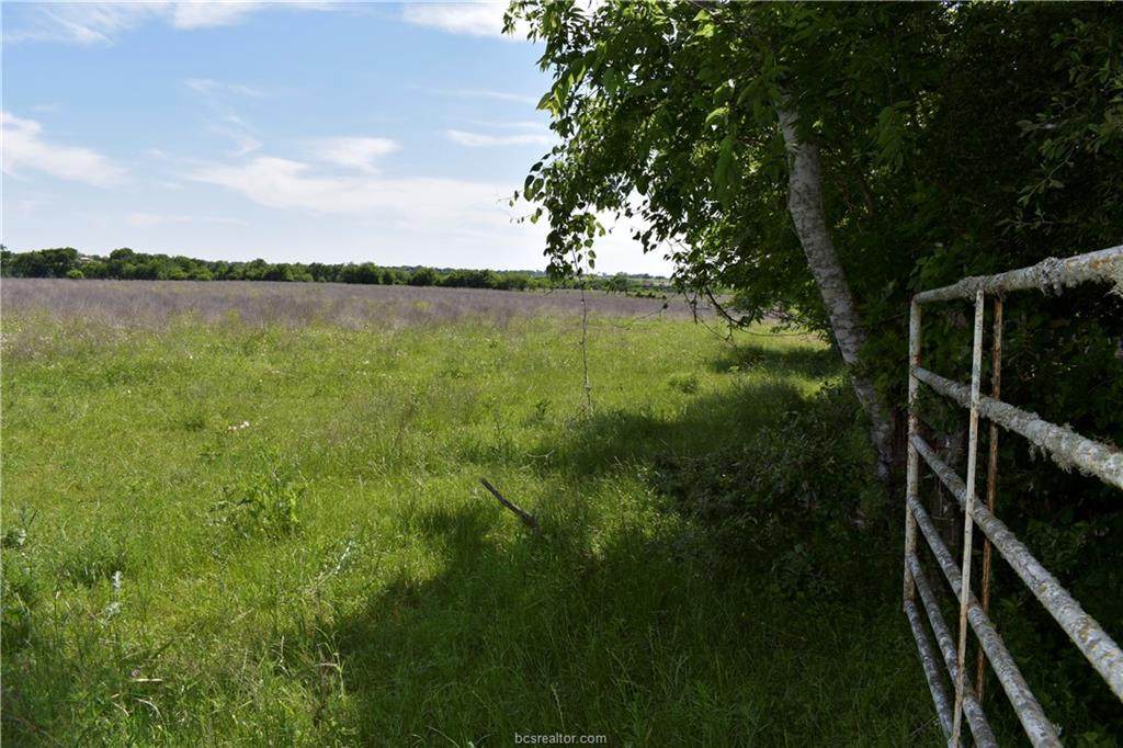 1155 Lomax Harmel - Photo 1