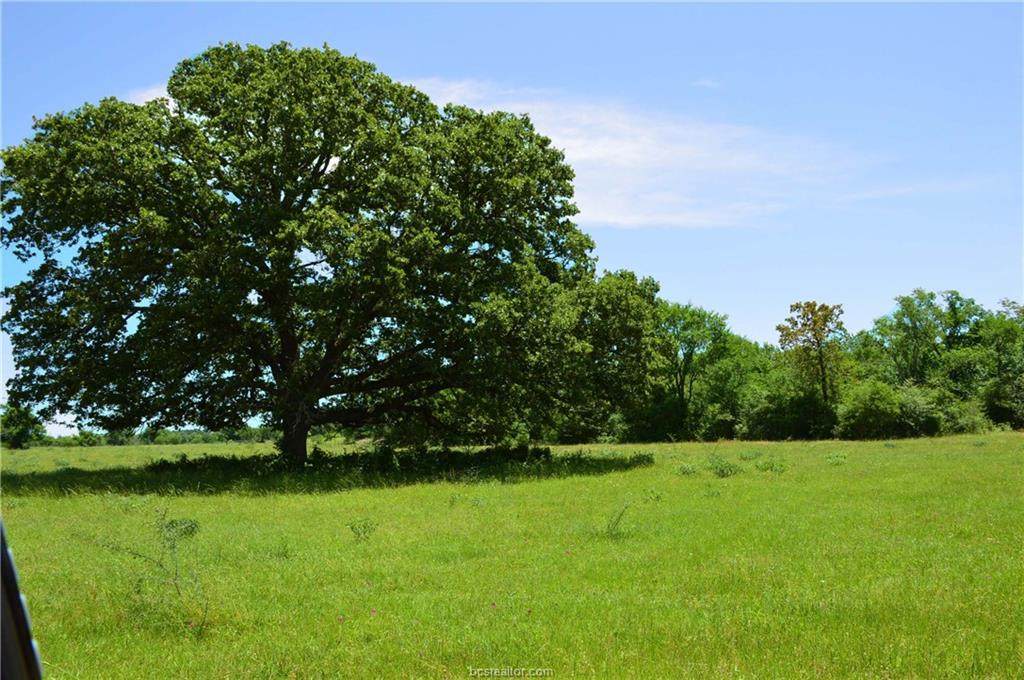 0684 Cr 446 County Road - Photo 1 0684 Cr 446 County Road - Photo 1