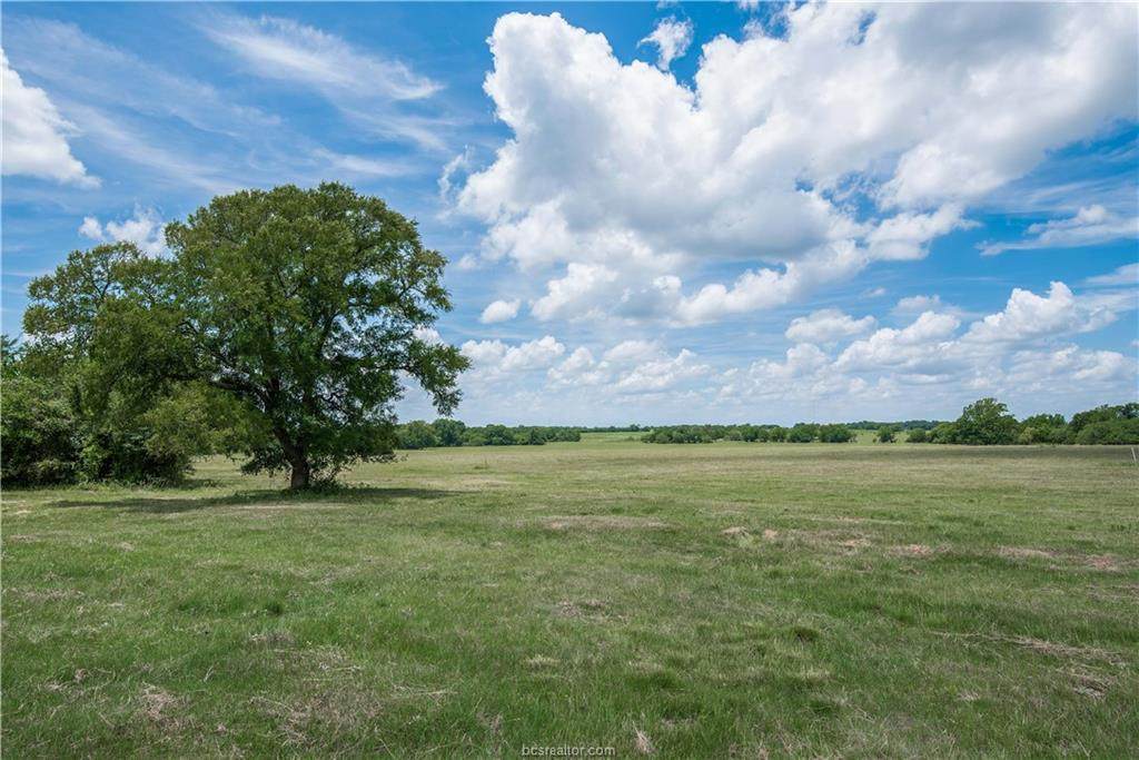 0130 Cr 446 County Road - Photo 1 0130 Cr 446 County Road - Photo 1