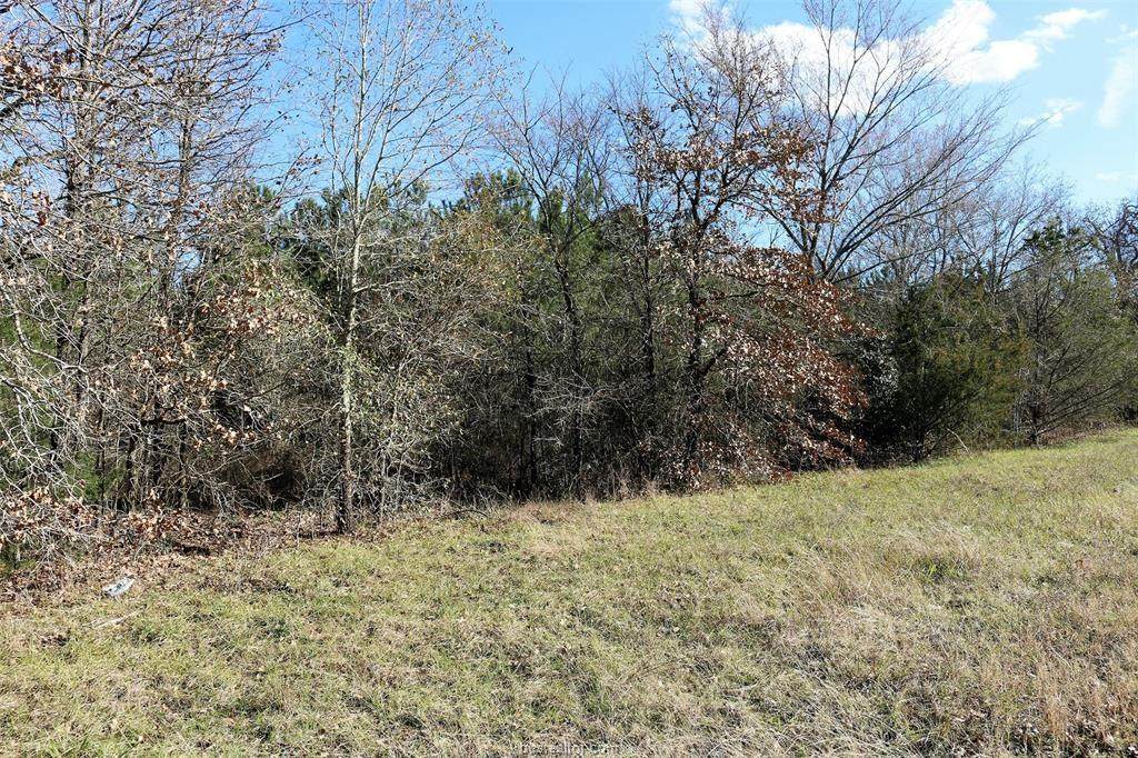 TBD Settlers Lane - Photo 1 TBD Settlers Lane - Photo 1