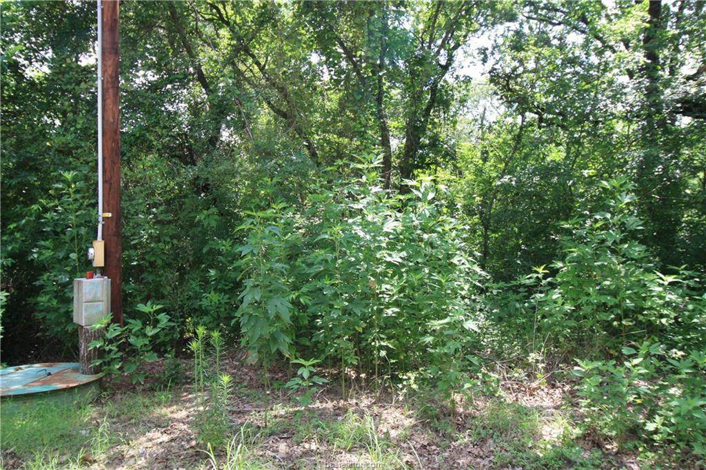 0000 Tbd 30 Acres Oak Circle - Photo 1 0000 Tbd 30 Acres Oak Circle - Photo 1