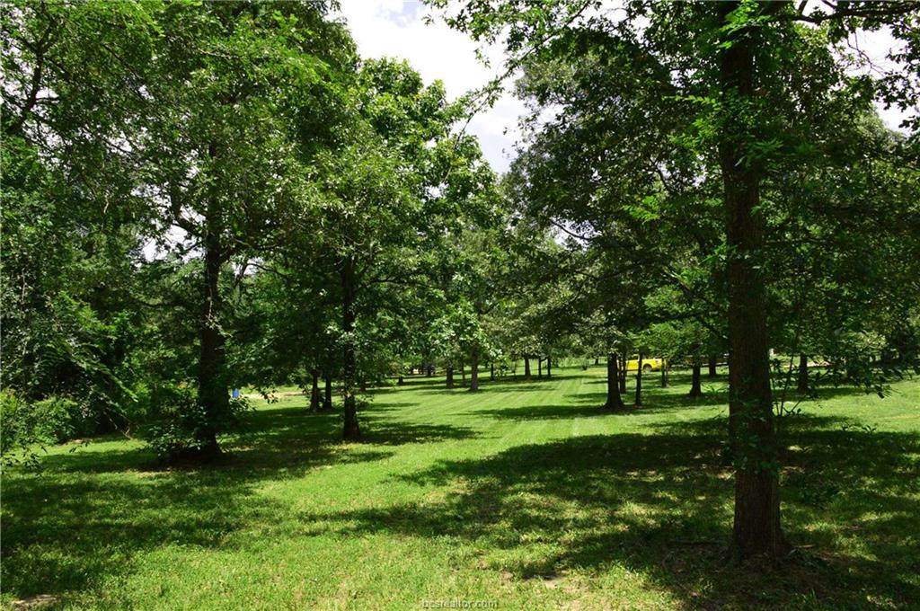 001.9 Evergreen Forest Lane - Photo 1 001.9 Evergreen Forest Lane - Photo 1