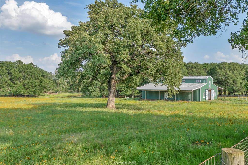 6181 County Road 353 - Photo 1