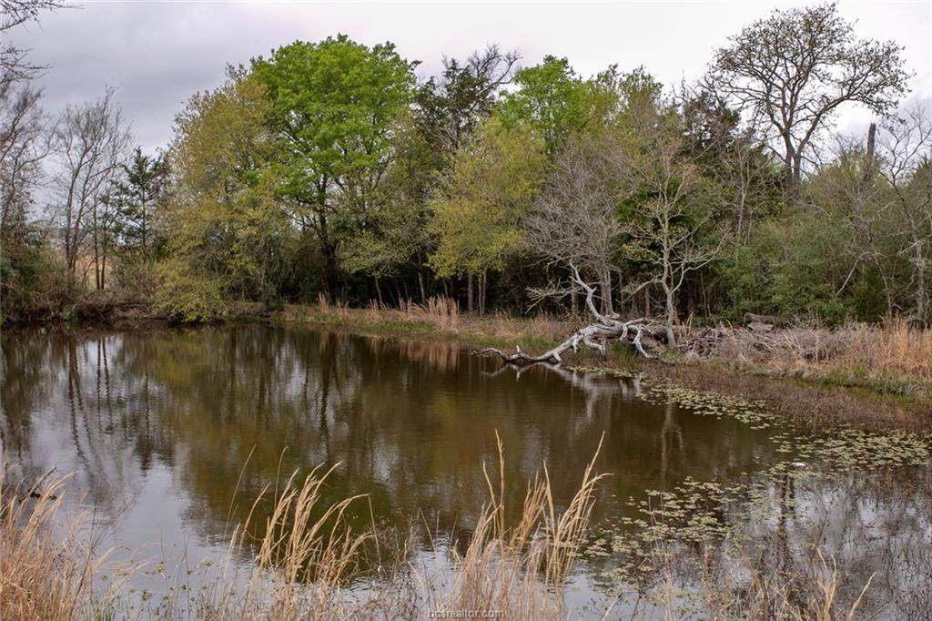 20317 Fm 2154 - Photo 1