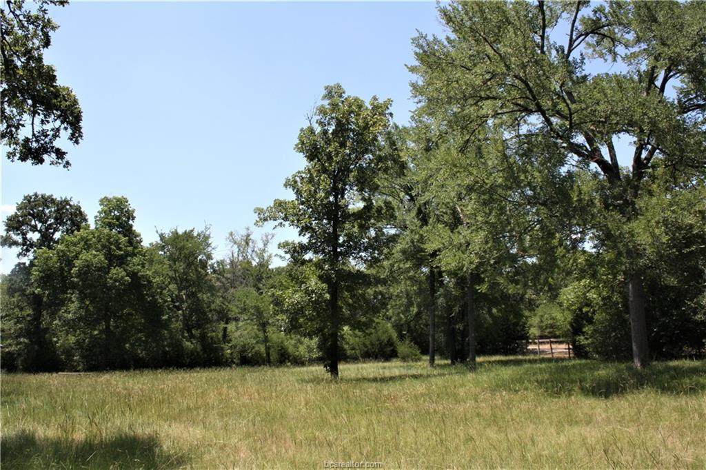 8144 Jackrabbit Lane - Photo 1