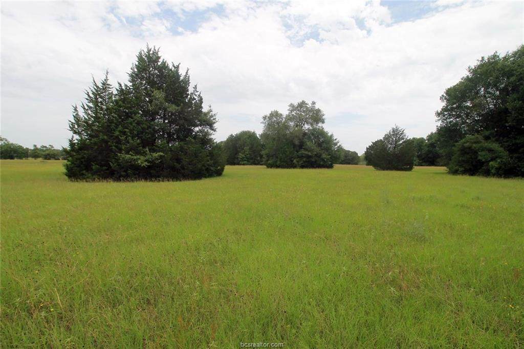 Tract A County Road 118 - Photo 1