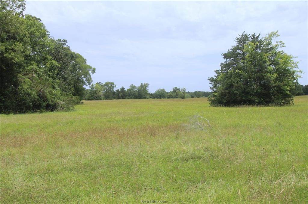 Tract B County Road 118 - Photo 1