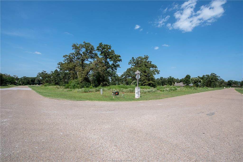 10838 Chamberlain Drive - Photo 1