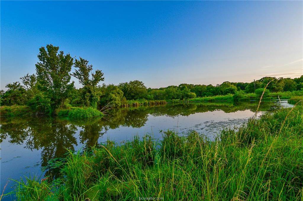 (+/-52 acres) Old Reliance Road - Photo 1