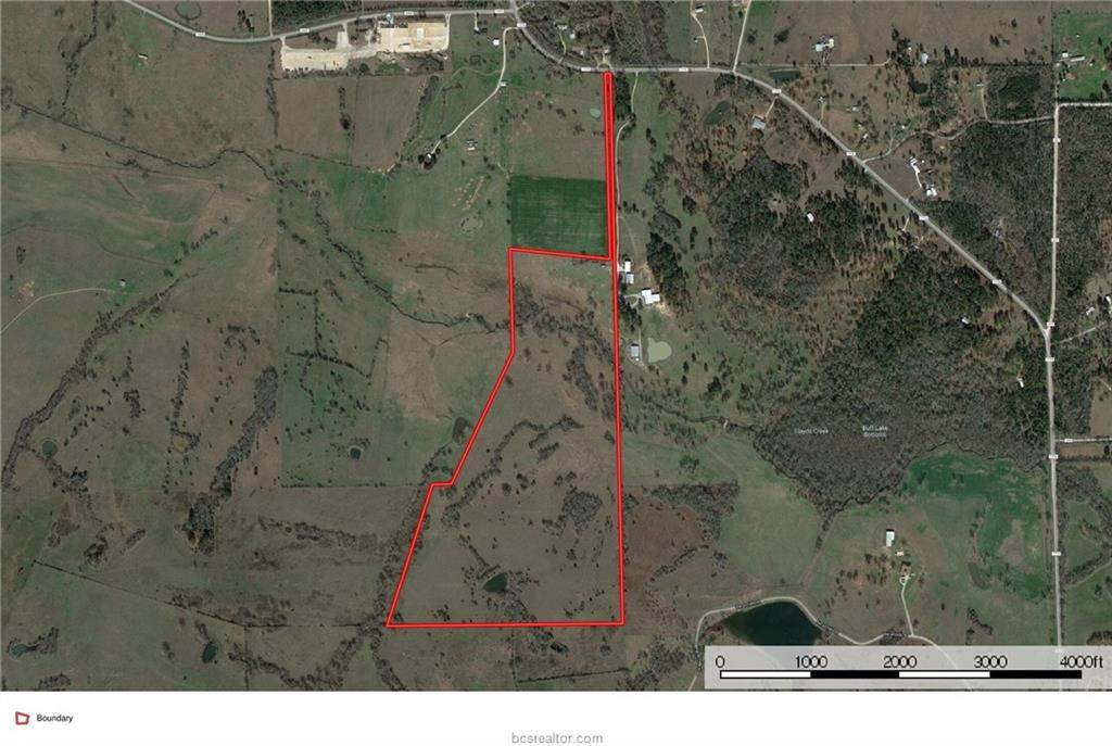 123.557 Acres Fm 1774 - Photo 1