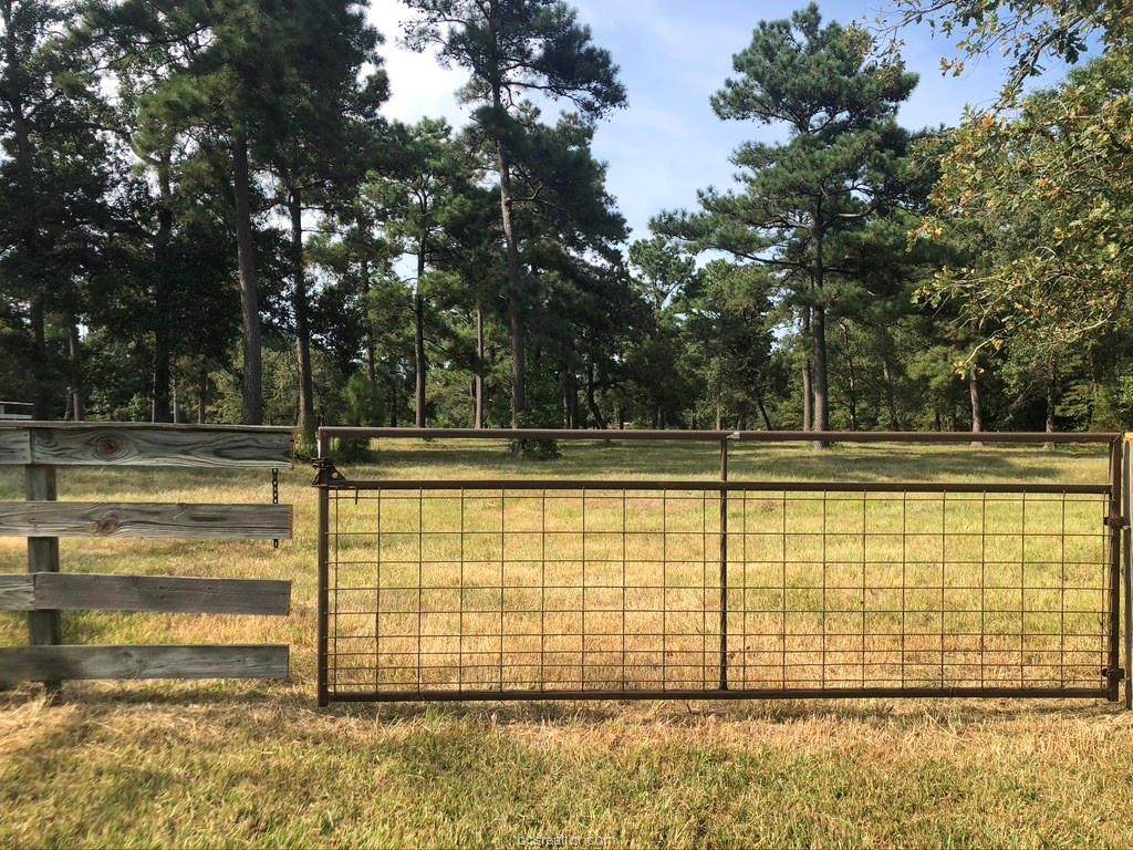 TBD Wee Creek Lane - Photo 1