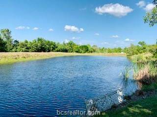 3397 Fm 485 County Road - Photo 1