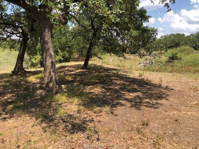 11.6591 ACRES - Cr 274 - Photo 1