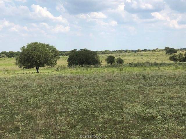 10 ACRES - Cr 274 - Photo 1