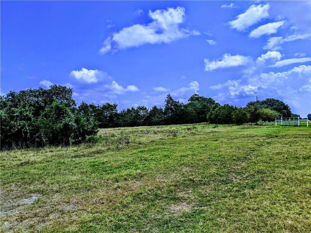 TBD Fm 937 Farm To Market Road - Photo 1