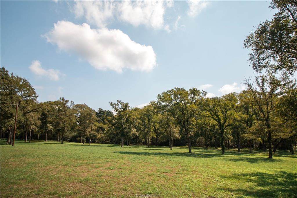 6709 River Oaks Drive - Photo 1