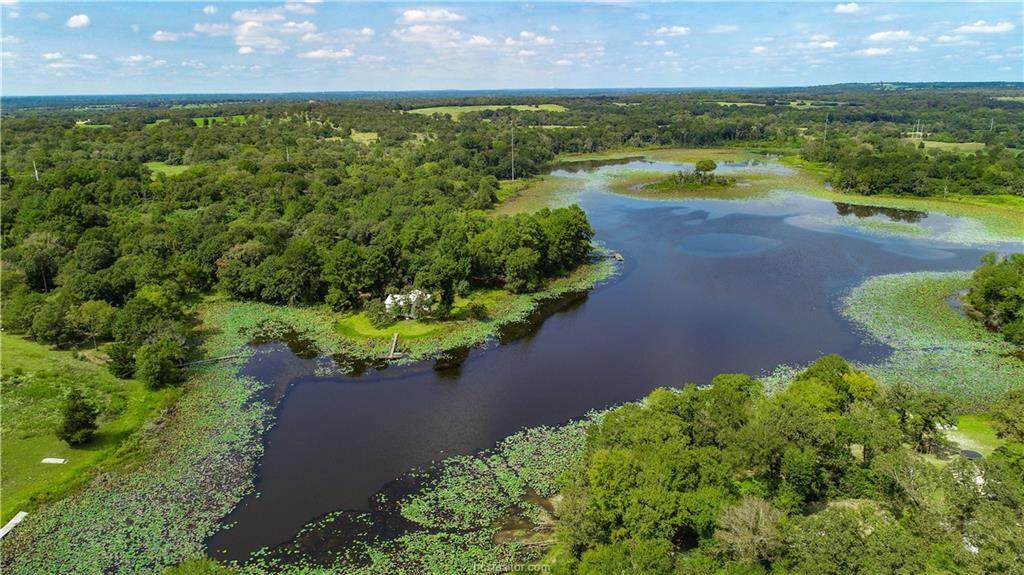 (+/-3.5 ac) 14673 County Road 445 - Photo 1