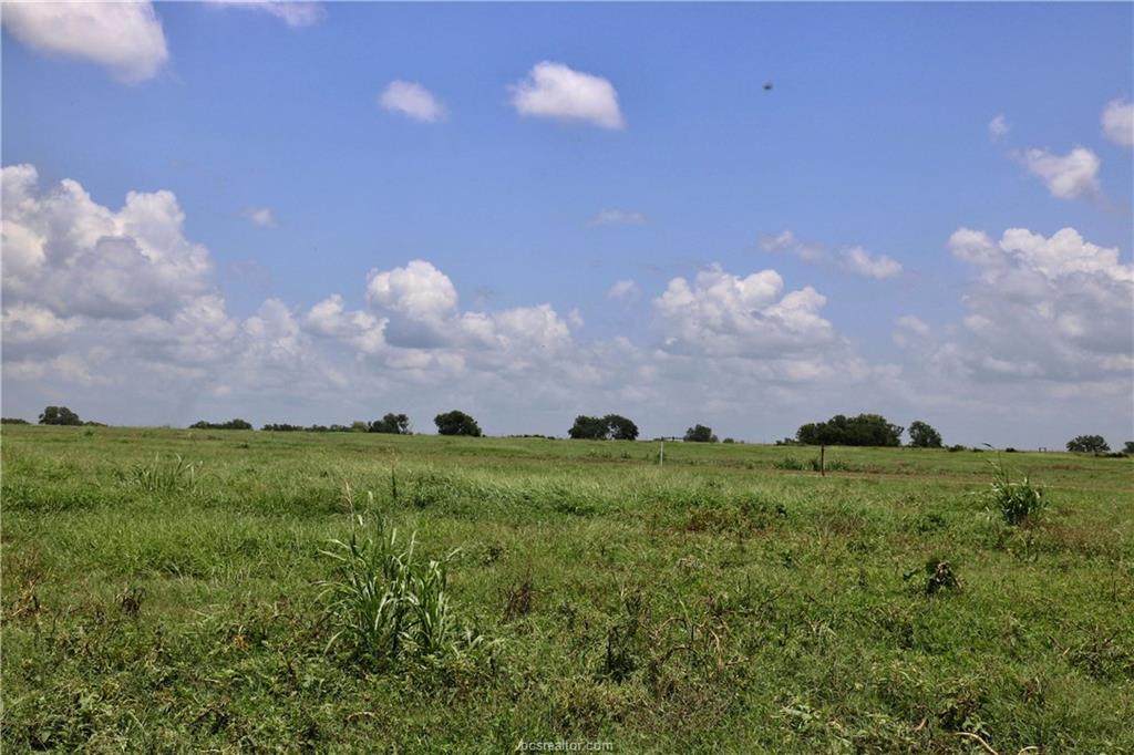 Lot 2 B Fm 2988 - Photo 1