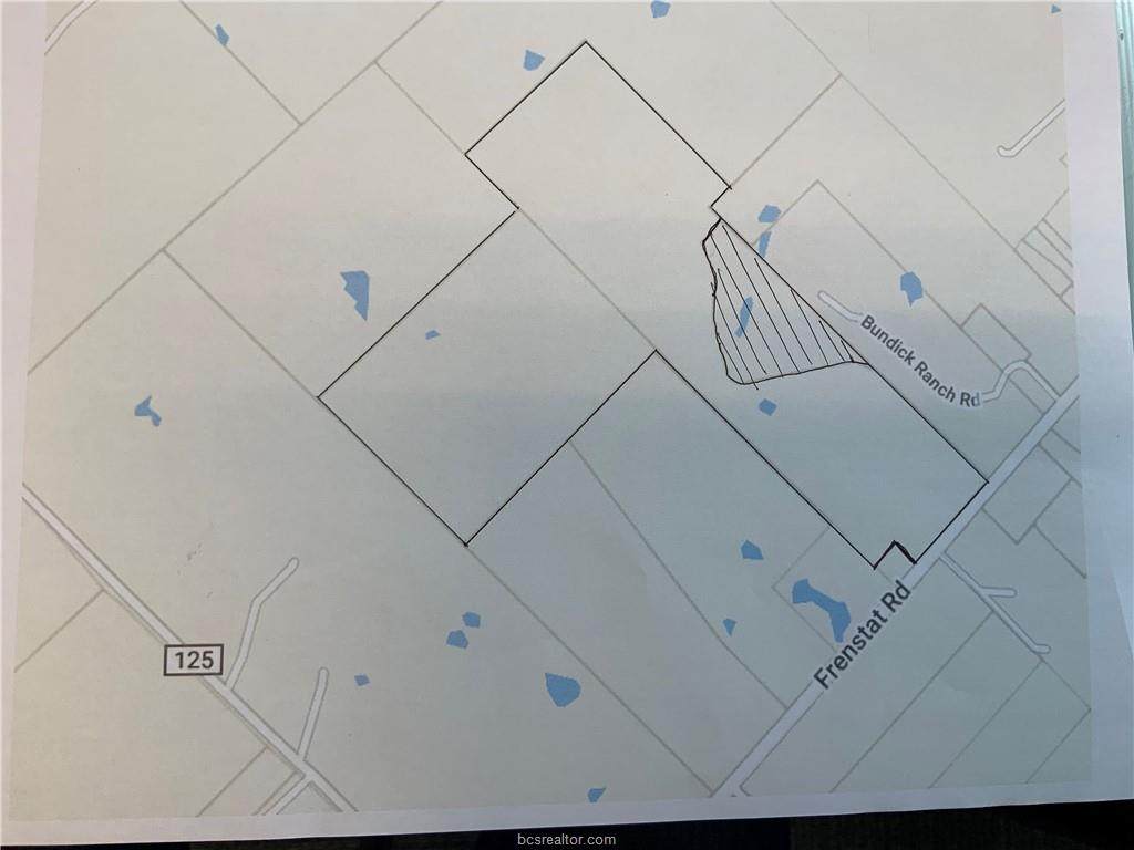 TBD(+/-100 acres) Bundick Cemetary Road Road - Photo 1