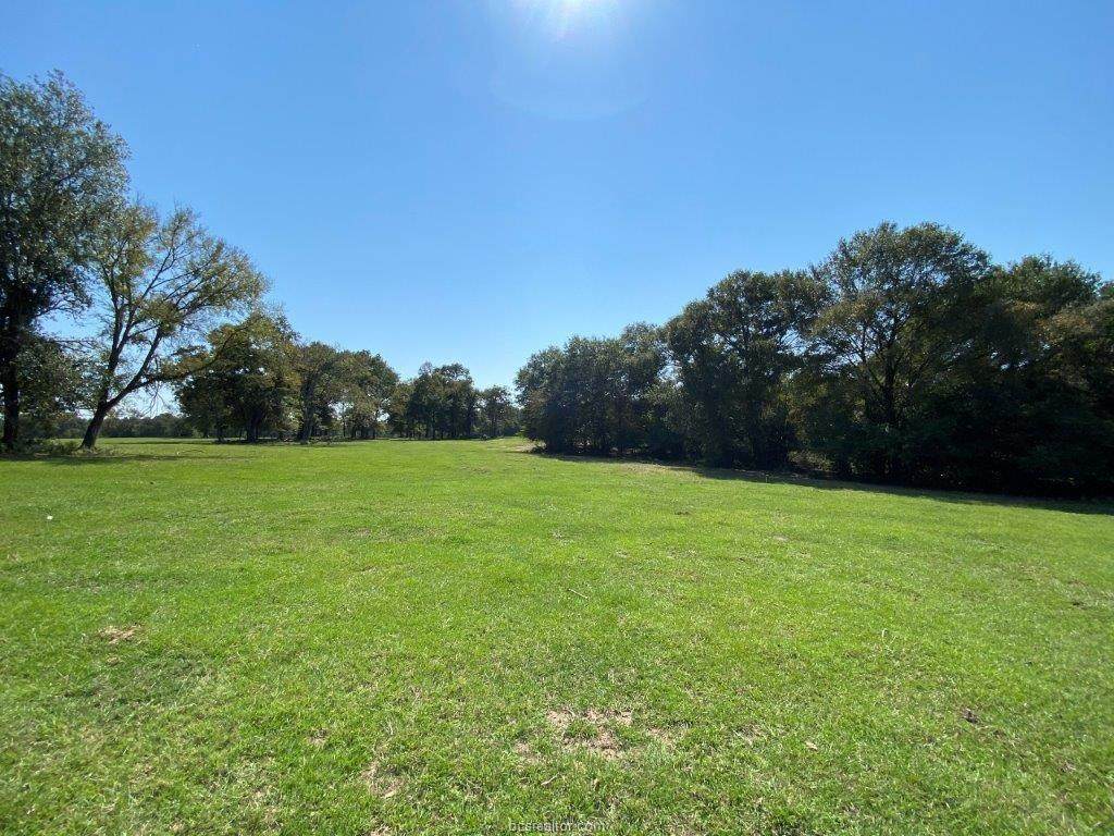 (+/- 59 Ac) TBD Hwy 79 - Photo 1
