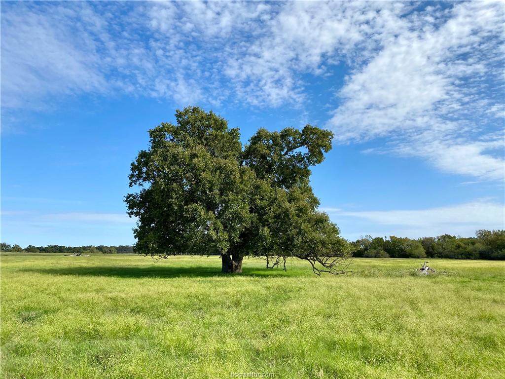 0 Cr 272 Road - Photo 1