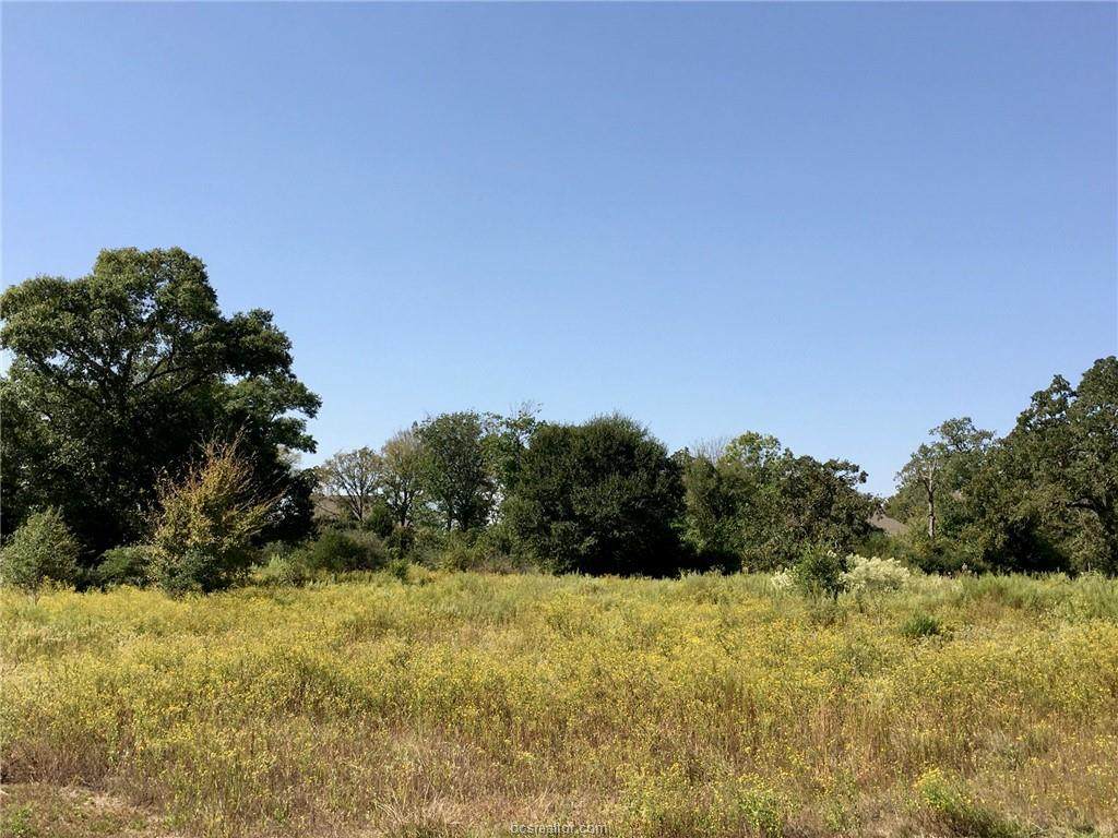 9631 Balfour Street - Photo 1