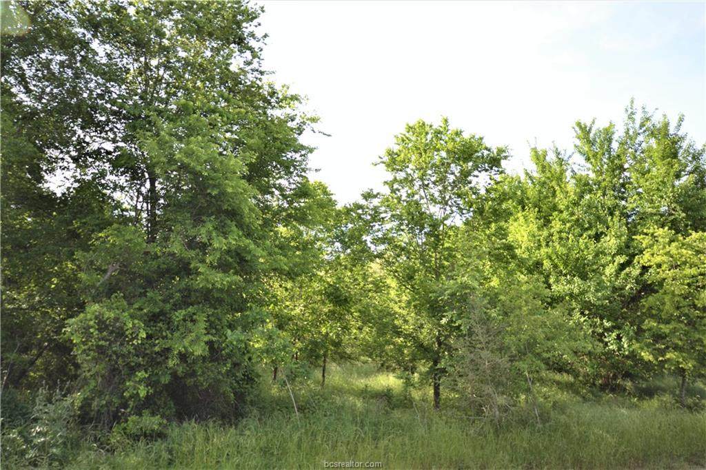 13083 Osr Road - Photo 1