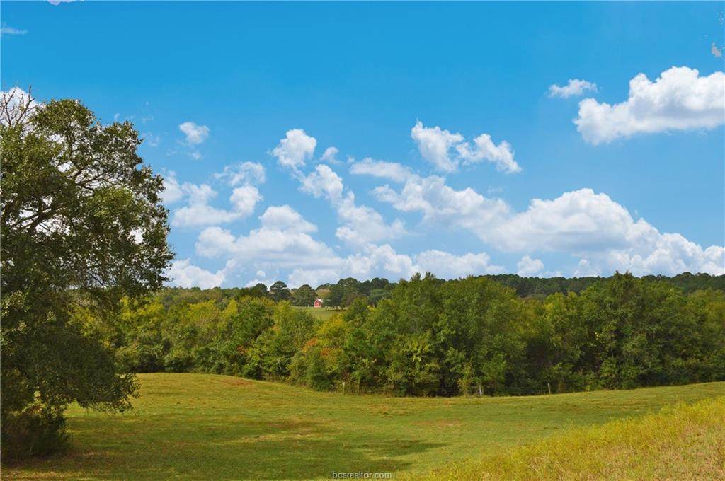 13526 County Road 407 County Road - Photo 1